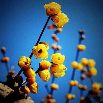 江南体育网页版