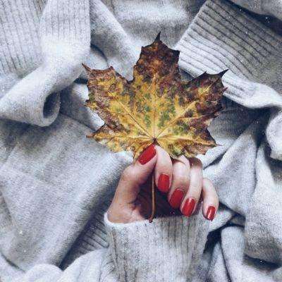 米乐app官方下载